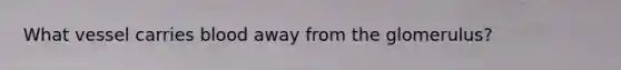 What vessel carries blood away from the glomerulus?