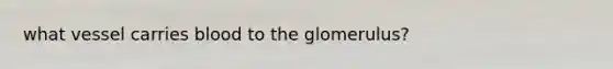 what vessel carries blood to the glomerulus?