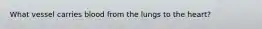 What vessel carries blood from the lungs to the heart?