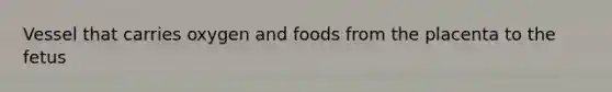 Vessel that carries oxygen and foods from the placenta to the fetus
