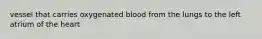 vessel that carries oxygenated blood from the lungs to the left atrium of the heart