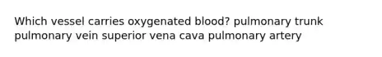 Which vessel carries oxygenated blood? pulmonary trunk pulmonary vein superior vena cava pulmonary artery