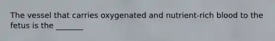 The vessel that carries oxygenated and nutrient-rich blood to the fetus is the _______