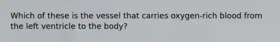 Which of these is the vessel that carries oxygen-rich blood from the left ventricle to the body?