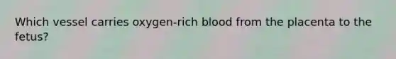 Which vessel carries oxygen-rich blood from the placenta to the fetus?