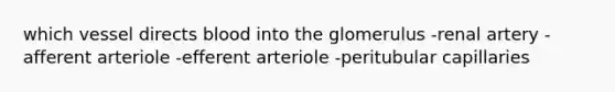 which vessel directs blood into the glomerulus -renal artery -afferent arteriole -efferent arteriole -peritubular capillaries