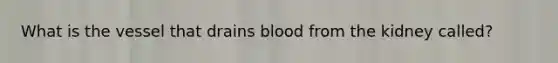 What is the vessel that drains blood from the kidney called?