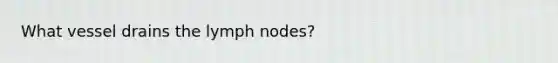 What vessel drains the lymph nodes?