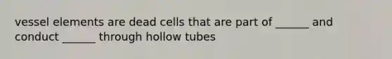 vessel elements are dead cells that are part of ______ and conduct ______ through hollow tubes