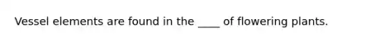 Vessel elements are found in the ____ of flowering plants.