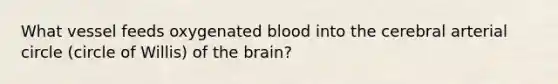 What vessel feeds oxygenated blood into the cerebral arterial circle (circle of Willis) of the brain?