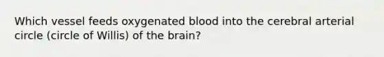 Which vessel feeds oxygenated blood into the cerebral arterial circle (circle of Willis) of the brain?