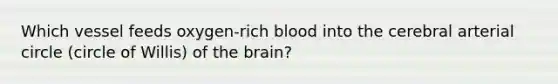 Which vessel feeds oxygen-rich blood into the cerebral arterial circle (circle of Willis) of the brain?