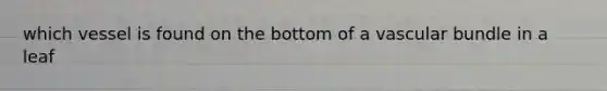 which vessel is found on the bottom of a vascular bundle in a leaf