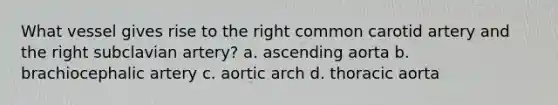 What vessel gives rise to the right common carotid artery and the right subclavian artery? a. ascending aorta b. brachiocephalic artery c. aortic arch d. thoracic aorta