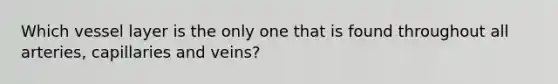 Which vessel layer is the only one that is found throughout all arteries, capillaries and veins?