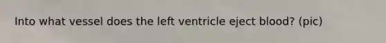 Into what vessel does the left ventricle eject blood? (pic)