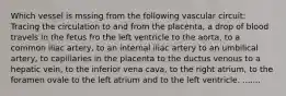 Which vessel is mssing from the following vascular circuit: Tracing the circulation to and from the placenta, a drop of blood travels in the fetus fro the left ventricle to the aorta, to a common iliac artery, to an internal iliac artery to an umbilical artery, to capillaries in the placenta to the ductus venous to a hepatic vein, to the inferior vena cava, to the right atrium, to the foramen ovale to the left atrium and to the left ventricle. .......