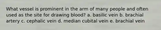 What vessel is prominent in the arm of many people and often used as the site for drawing blood? a. basilic vein b. brachial artery c. cephalic vein d. median cubital vein e. brachial vein