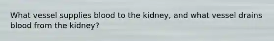 What vessel supplies blood to the kidney, and what vessel drains blood from the kidney?