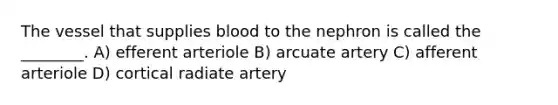 The vessel that supplies blood to the nephron is called the ________. A) efferent arteriole B) arcuate artery C) afferent arteriole D) cortical radiate artery