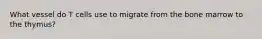 What vessel do T cells use to migrate from the bone marrow to the thymus?