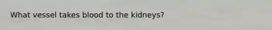 What vessel takes blood to the kidneys?