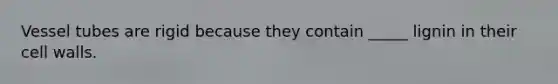 Vessel tubes are rigid because they contain _____ lignin in their cell walls.