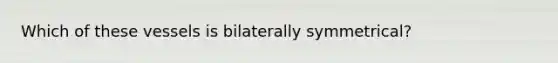 Which of these vessels is bilaterally symmetrical?