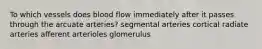 To which vessels does blood flow immediately after it passes through the arcuate arteries? segmental arteries cortical radiate arteries afferent arterioles glomerulus