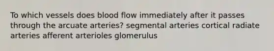 To which vessels does blood flow immediately after it passes through the arcuate arteries? segmental arteries cortical radiate arteries afferent arterioles glomerulus