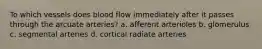 To which vessels does blood flow immediately after it passes through the arcuate arteries? a. afferent arterioles b. glomerulus c. segmental arteries d. cortical radiate arteries