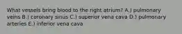 What vessels bring blood to the right atrium? A.) pulmonary veins B.) coronary sinus C.) superior vena cava D.) pulmonary arteries E.) inferior vena cava