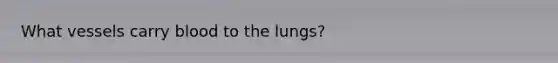 What vessels carry blood to the lungs?