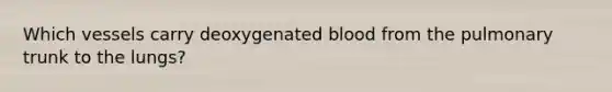 Which vessels carry deoxygenated blood from the pulmonary trunk to the lungs?