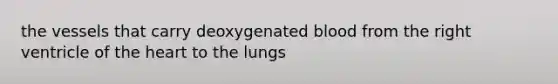 the vessels that carry deoxygenated blood from the right ventricle of the heart to the lungs