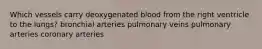 Which vessels carry deoxygenated blood from the right ventricle to the lungs? bronchial arteries pulmonary veins pulmonary arteries coronary arteries