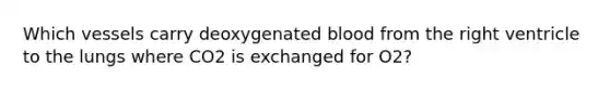 Which vessels carry deoxygenated blood from the right ventricle to the lungs where CO2 is exchanged for O2?
