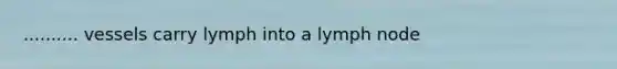 .......... vessels carry lymph into a lymph node