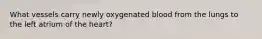 What vessels carry newly oxygenated blood from the lungs to the left atrium of the heart?