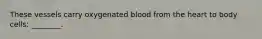 These vessels carry oxygenated blood from the heart to body cells: ________.