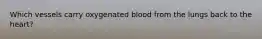 Which vessels carry oxygenated blood from the lungs back to the heart?