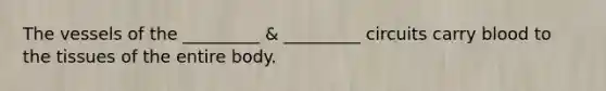 The vessels of the _________ & _________ circuits carry blood to the tissues of the entire body.
