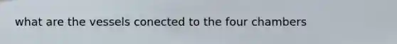 what are the vessels conected to the four chambers
