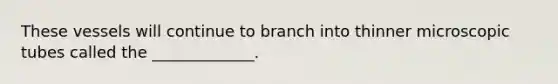 These vessels will continue to branch into thinner microscopic tubes called the _____________.