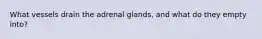 What vessels drain the adrenal glands, and what do they empty into?