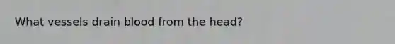 What vessels drain blood from the head?