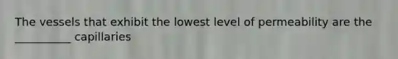 The vessels that exhibit the lowest level of permeability are the __________ capillaries