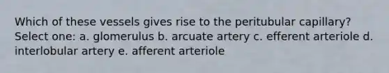 Which of these vessels gives rise to the peritubular capillary? Select one: a. glomerulus b. arcuate artery c. efferent arteriole d. interlobular artery e. afferent arteriole