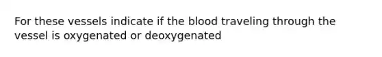 For these vessels indicate if the blood traveling through the vessel is oxygenated or deoxygenated